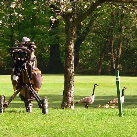 ロマンティック ヴァルハラ ホテル 4*